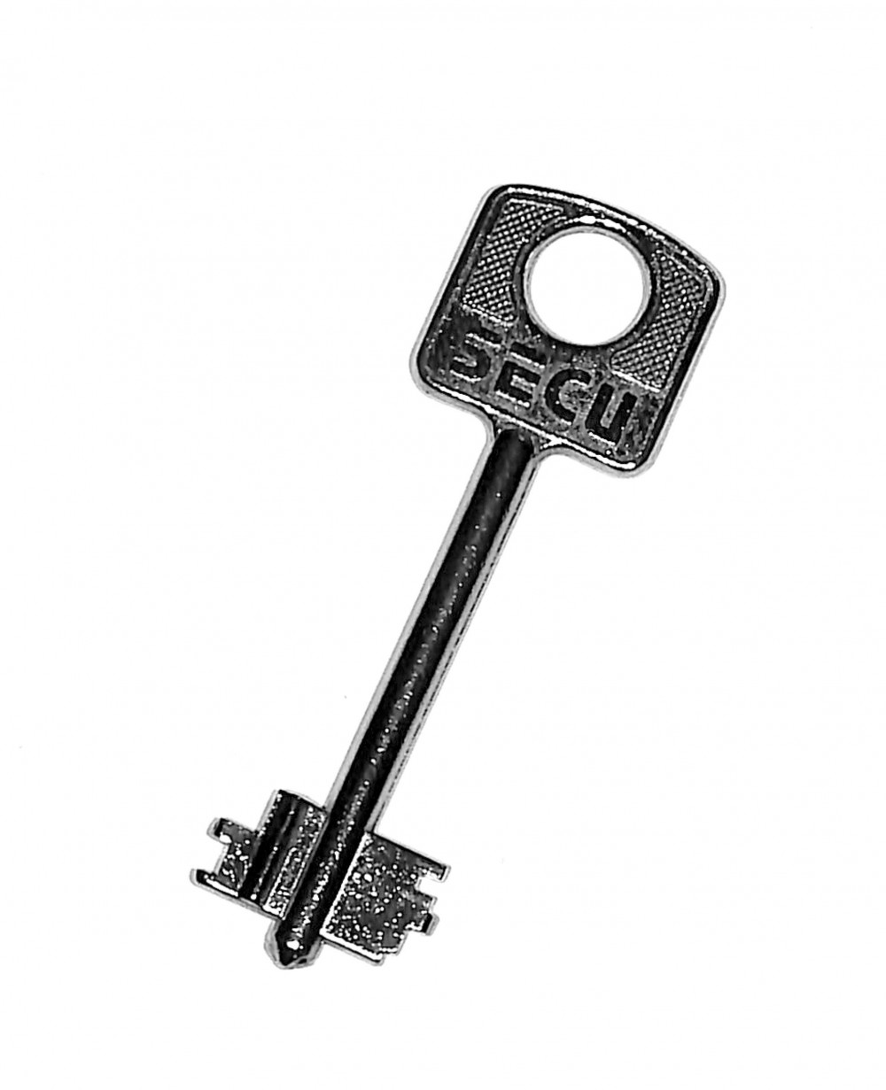 Pygmalion Senf trinken secu schlüssel Gepäck Subtropisch Picknick