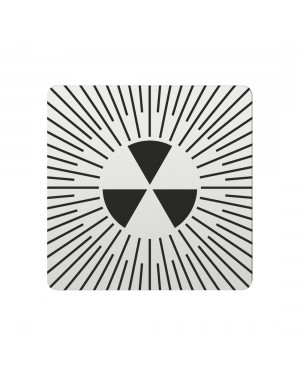 FSB Hinweiszeichen radioaktive Stoffe Lasergraviert Aluminium naturfarbig (0 36 4059 00419 0105)