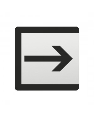 FSB Hinweiszeichen Ausgang Lasergraviert Aluminium naturfarbig (0 36 4059 00021 0105)