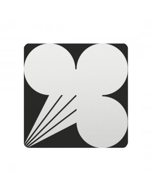 FSB Hinweiszeichen explosive Stoffe Lasergraviert Aluminium naturfarbig (0 36 4059 00418 0105)