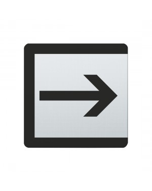 FSB Hinweiszeichen Ausgang Lasergraviert Edelstahl fein matt (0 36 4059 00021 6204)