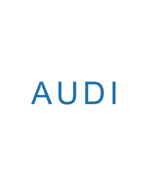 Audi A1 Bj 2011 bis 2019 Autoschlüssel nachmachen